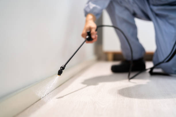 Certified termite inspector examining foundation in Hubbard