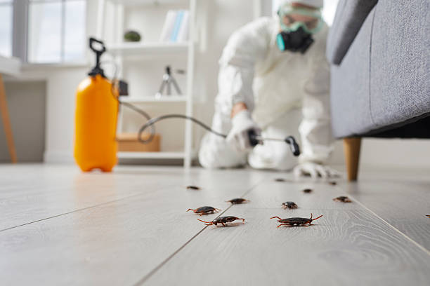 Commercial Kitchen Cockroach Control in Hubbard